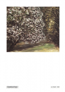 pag_19